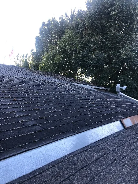 Aging shingle roof with drip edge and vent pipe, Portland OR